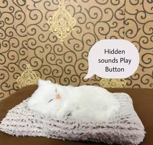 Trendy Musically Cute Cat