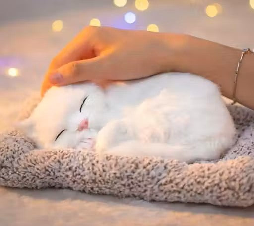 Trendy Musically Cute Cat