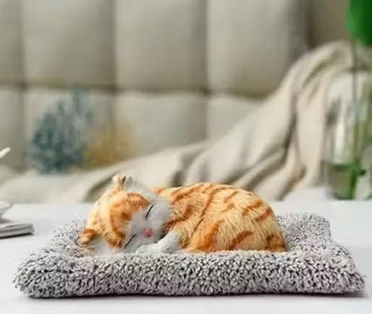 Trendy Musically Cute Cat