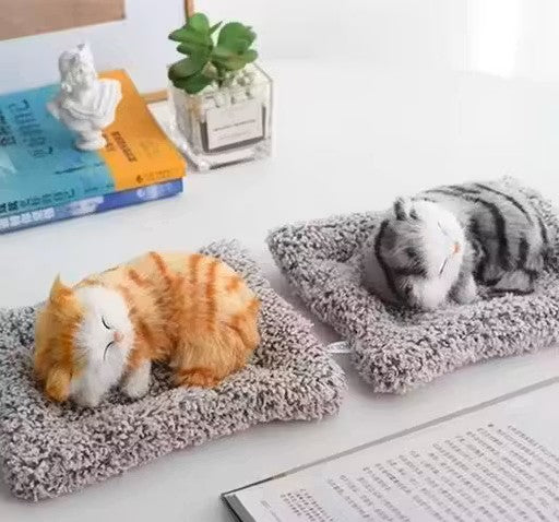 Trendy Musically Cute Cat