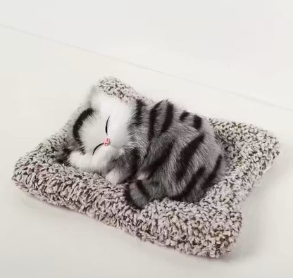 Trendy Musically Cute Cat