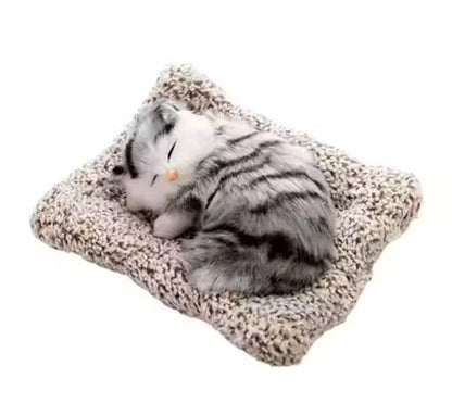 Trendy Musically Cute Cat